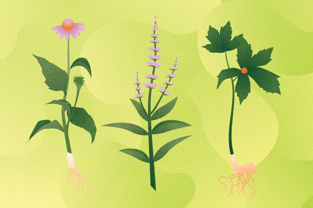 Herbs to Avoid While Trying to Conceive